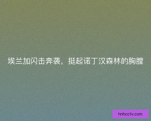 埃兰加闪击奔袭，挺起诺丁汉森林的胸膛