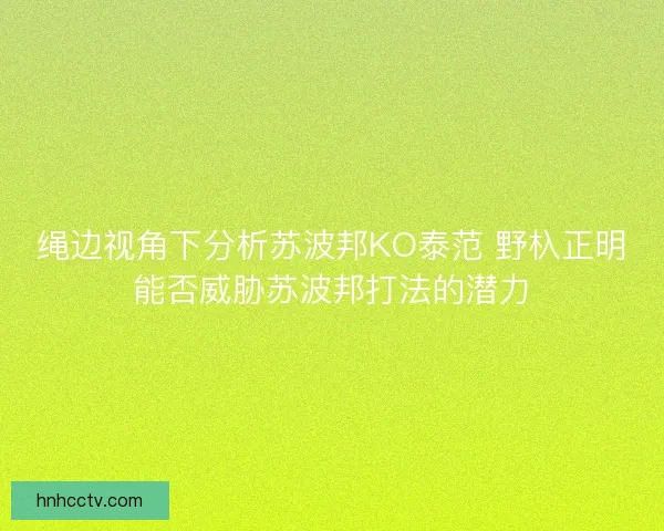 绳边视角下分析苏波邦KO泰范 野杁正明能否威胁苏波邦打法的潜力